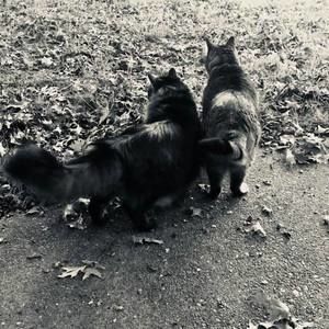 Cyrusozzy/Stephanie:selling men and women’s items